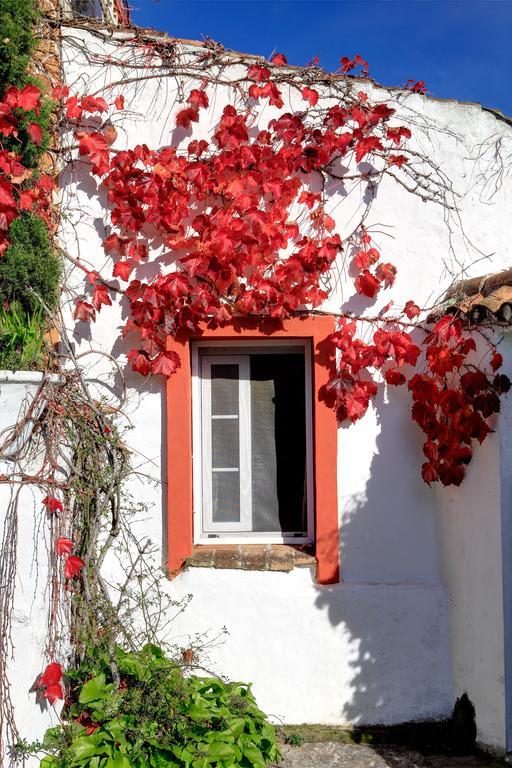 Cortijo La Hoya Vendégház El Bujeo Kültér fotó